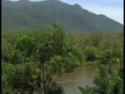 VOICED: Dwindling elephant population blamed on DRC soldiers News Clip