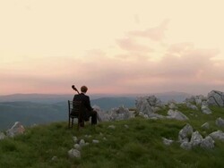 CRANE: Musician In Nature Stock Footage