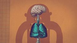 TED-Ed: How spontaneous brain activity keeps you alive - Nathan S. Jacobs Instructional Video