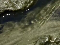 Water Erosion Stock Footage