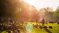 Summertime in the Park Stock Footage