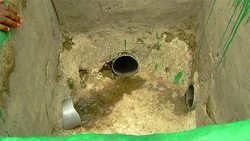 VOICED: Bio battle to save DRC's forests News Clip