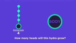 Kill the Mathematical Hydra Instructional Video