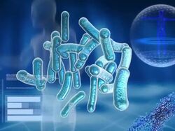 Bacteria and DNA molecules on a computer screen. Stock Footage