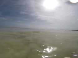 Little waves Stock Footage