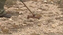 Russian Military Searching For Bombs In Ancient City Of Palmyra News Clip