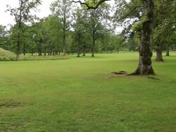 Borre mound cemetery, national park, burilas from the Viking Age Stock Footage