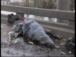 WRAP Emergency relief boss loses responsibilities News Clip