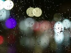 Highly defocused street lights Stock Footage