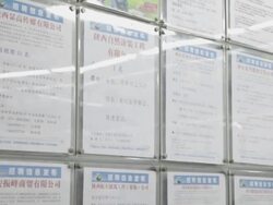 MS ZO Job seeker seeing recruitment informations at employment Fair / xi'an, shaanxi, china Stock Footage