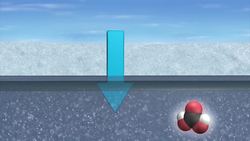 Arctic ocean acidification threatens fish lifecycle and livelihood of arctic environment. Instructional Video