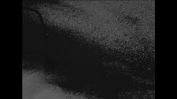 CAN857 INDEPENDENCE FOR PROTECTORATE CALLED BOTSWANA News Clip