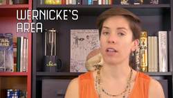 The Neuroscience of Language Instructional Video