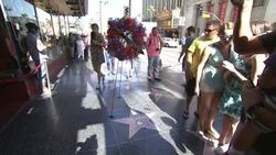 Flowers placed on the Walk of Fame star of Ray Manzarek of The Doors Instructional Video