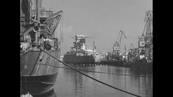 Captured Vichy French warships in port of Oran, Algeria, during World War II News Clip