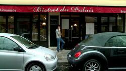 France UMP activists vote for Sarkozy successor News Clip