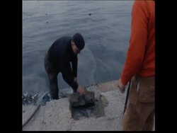 SYND 2/3/70 EXPERTS ASSES HARBOUR AREA CRACKS AS "SLOW EARTHQUAKE" CONTINUES Instructional Video