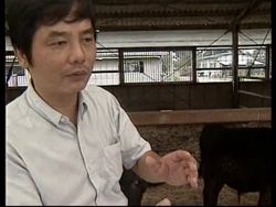 JAPAN: FARMERS MOVING TOWARDS PRODUCING CLONED COWS News Clip