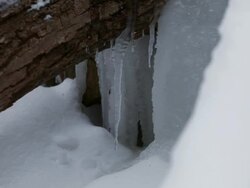 CU Icecles  slowly melting from log / Dundas, Ontario, Canada   Stock Footage