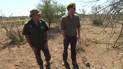 Prince Harry Visits Kruger National Park News Clip