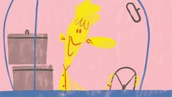 TED-Ed: Bird migration, a perilous journey - Alyssa Klavans Instructional Video