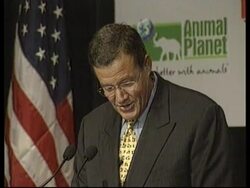 USA:  NATIONAL ZOO EXPECTING TWO NEW PANDAS News Clip