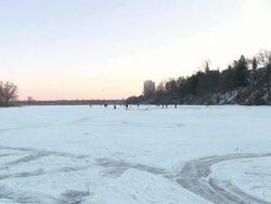 WS People skating, playing hockey and some dogs running around on frozen pond in High Park / Toronto, Ontario, Canada  Stock Footage