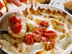 Mozzarella Bruschetta Stock Footage