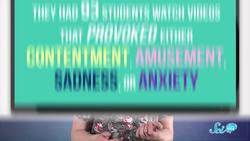 What Makes A Meme Go Viral? Instructional Video