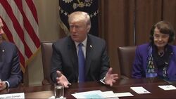 Trump: Don't Include Concealed Weapons in Bill News Clip