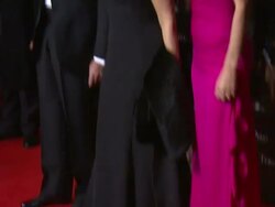 2010 Pirelli Calendar Launch Red Carpet Stock Footage