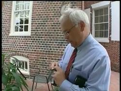 DV Lohan Bracelet News Clip