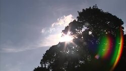 UK Countryside News Clip