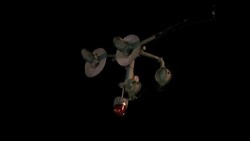 BUS CARRYING FRENCH TOURISTS COLLIDES WITH TRAIN News Clip