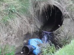 Polluted water Stock Footage