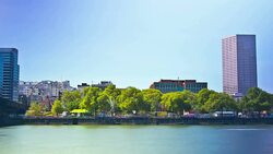 Portland Day Stock Footage