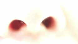 Micro Shot of Human Nose Breathing Stock Footage