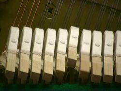 Acoustic Piano, Hammer Closup Stock Footage