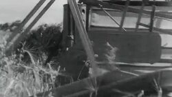 MONTAGE Farmer, field hands, and draft horses harvesting hay / United Kingdom Stock Footage