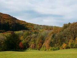 Vienna Woods in autumn - Time Lapse Stock Footage