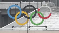 Rio clean up starts as Olympic visitors depart Instructional Video