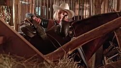 DS Cowgirl putting a saddle on her horse Stock Footage