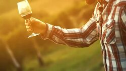 Wine tasting. Stock Footage