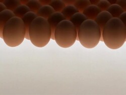 CU, TU, Rows of brown eggs against white background Stock Footage