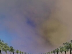 OLD PEAR TREES: MID - MOVING IN. COLORFUL CLOUDS (loop) Stock Footage