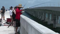 People Fishing Off The Seven Mile Bridge, Florida Keys, Tourists Stock Footage