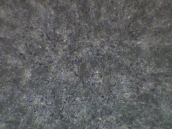 Human sperm, masses swimming around, very wide, tunnel effect soft at edges Stock Footage