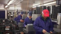 Fruit farm workers sort and package harvested strawberries in modern agricultural plant. Stock Footage