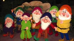 The American Presidential Election of 1988 Instructional Video