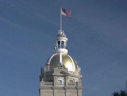 Savannah City Hall Dome Stock Footage